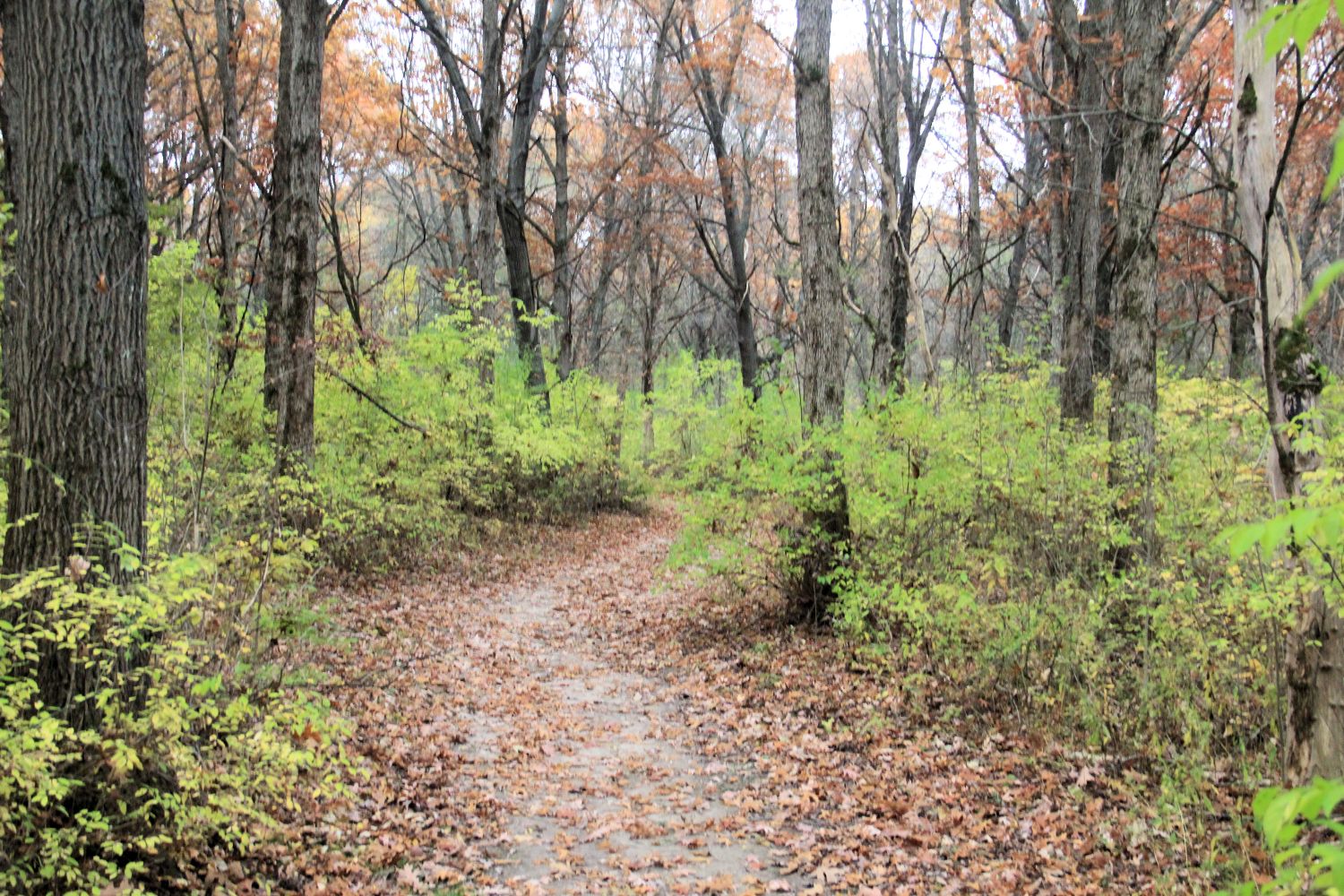 Rock Cut State Park 